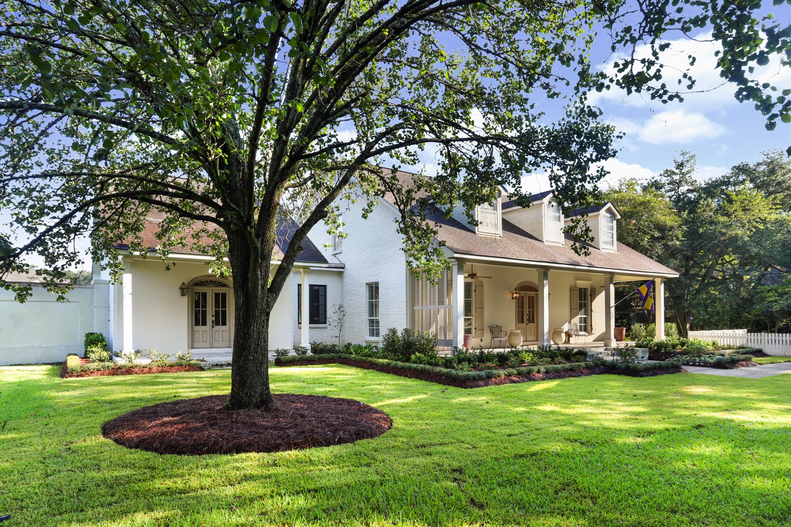 5 Best Year-Round Plants for Louisiana